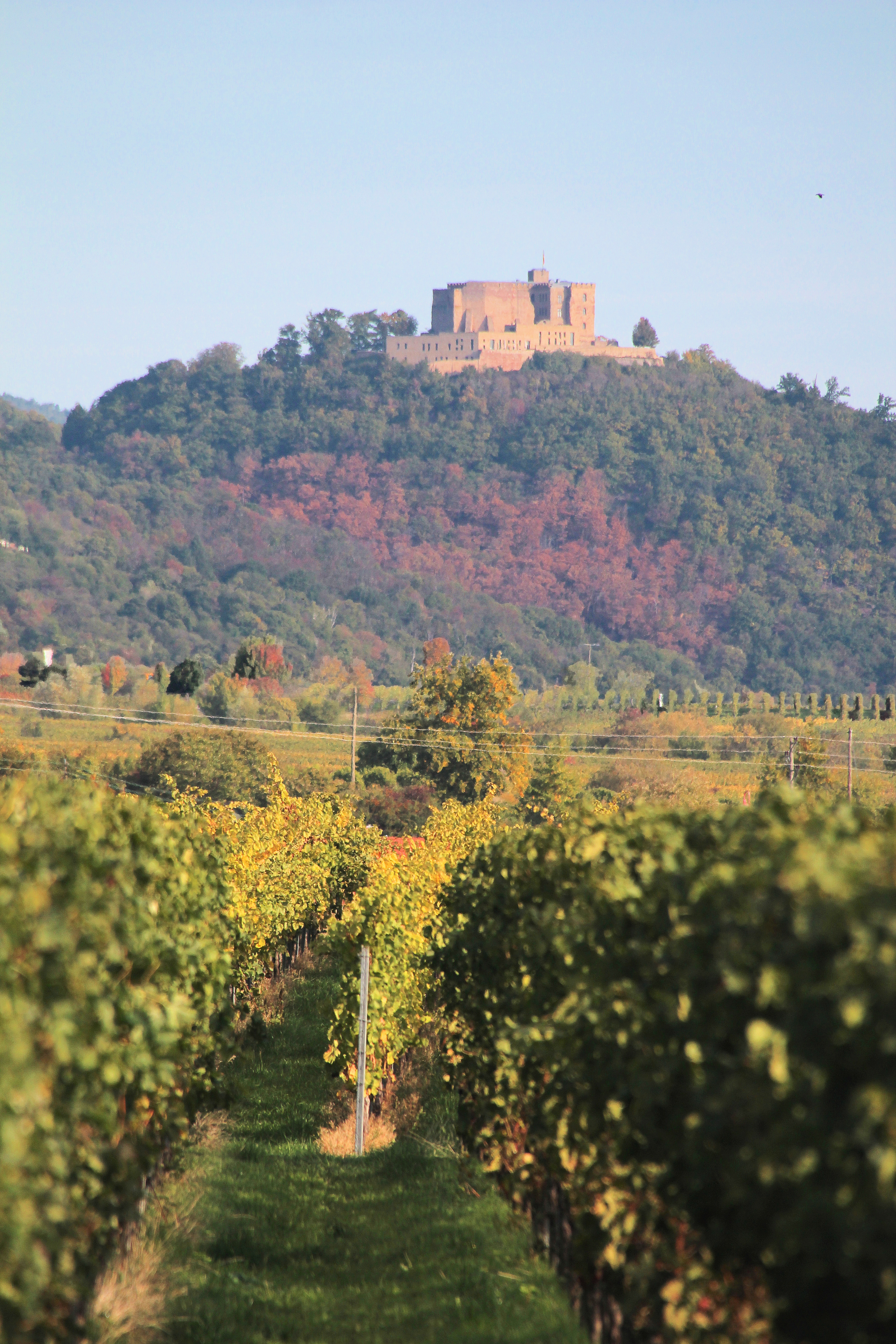 Hambacher Schloss