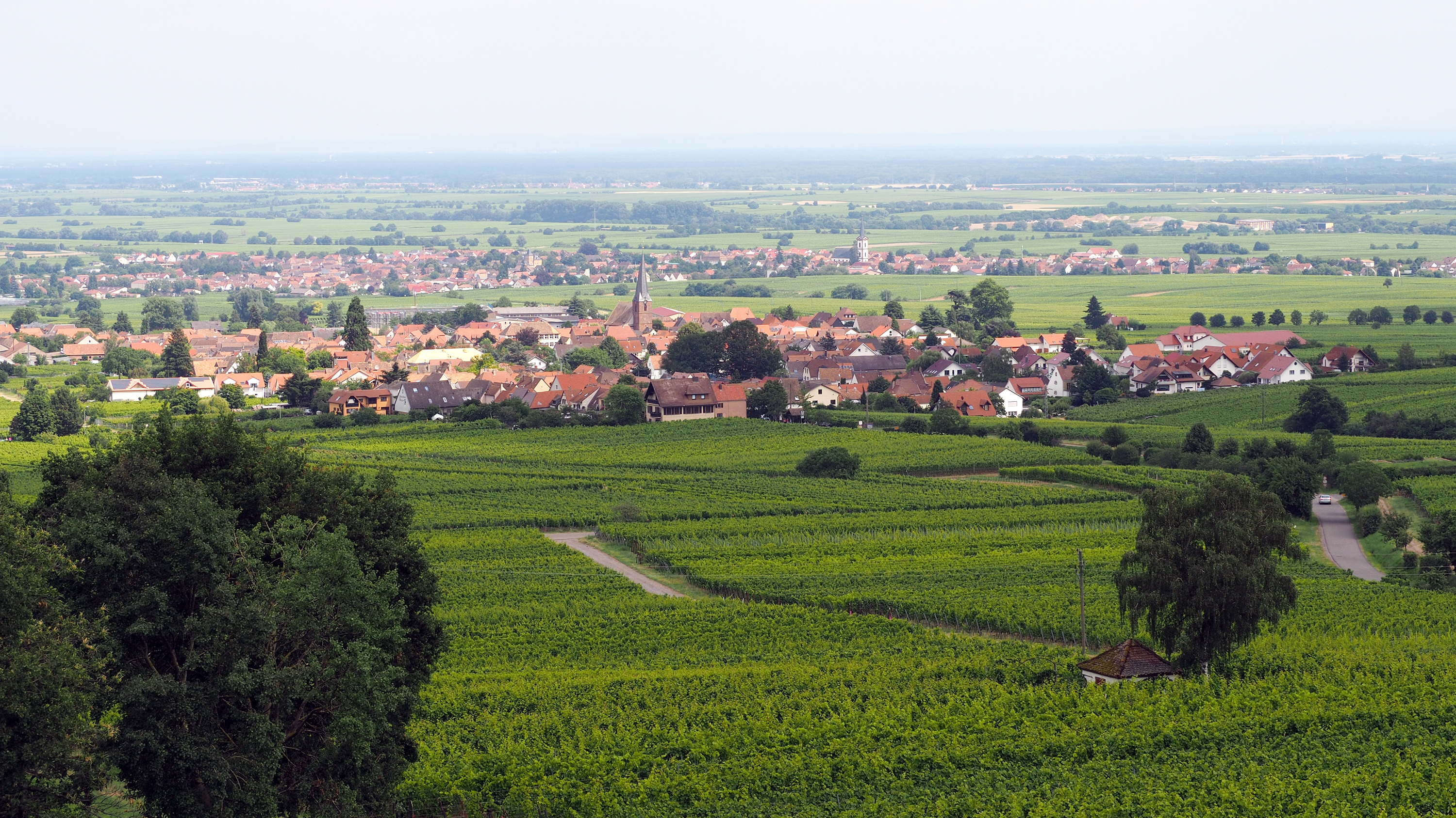 Rhodt unter Rietburg