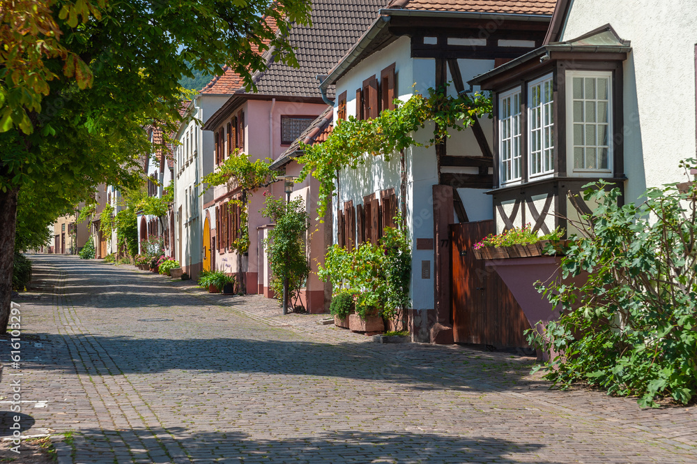 Terresinstraße Rhodt